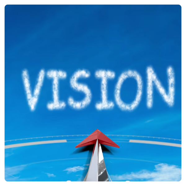 Vision